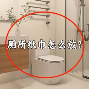 Bathroom Wall-Mounted Suction Cup Tissue Box Toilet Paper Roll Holder Kitchen Storage Rack Plastic No Drilling Required