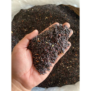 BERAS KETAN HITAM 1Kg/1000g | BERAS KETAN HITAM MURAH
