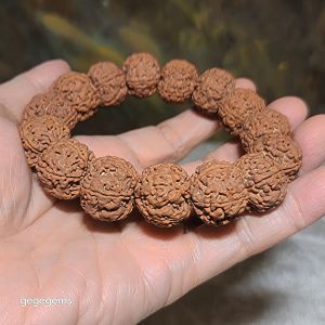 Premium 20mm natural Nepal Rudraksha high altitude (dense & high natural oil contents) pinkish same tree Double Dragons Panlong 5 Mukhi bracelet