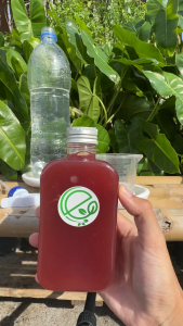 เอ็นกรีน จุลินทรีย์สังเคราะห์แสง ฟื้นฟูพืชโทรม แตกยอดใหม่ ใบเขียว บำรุงต้นให้แข็งแรง l Engreen