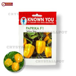 Benih Bibit Paprika F1 Yellow Star Known You Seed - KYS PAPRIKA F1 YELLOW STAR