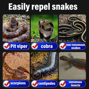 Effective protection for 36 hours snake repellent spray 100ml ubat halau ular Snake Repellentisolation Organik snake repellent Snake Repellent Supplies Portable Outdoor/Night/Hiking 驱蛇喷雾 Suitable for Snakes/scorpions/poisonous insects/centipedes