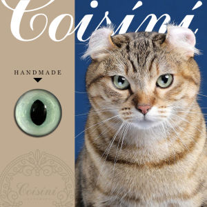 Mắt Mèo Thủ Công DIY Phụ Kiện Đồ Chơi Felting Mắt Động Vật Mô Phỏng Mắt Thủy Tinh Mắt Thỏ Mắt Thỏ Xoăn Vật Liệu May Vá DIY