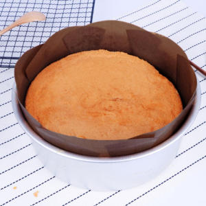Reusable Baking Mat Round Square Non-stick Heat Resistant Cooking Paper Mats Oven Oil-Proof Paper Baking Accessories and Tools