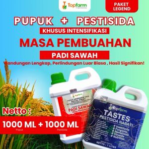 Pupuk Topfarm: Solusi Optimal untuk Padi dan Hama