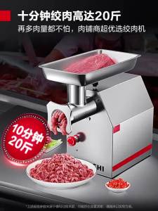 DEMASHI | Commercial High Power Stainless Steel Meat Grinder