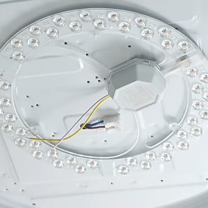 RIACHTAIS 12W 18W 24W 36W 48W 72W Ceiling Lights Round Led Module Durable Led Panel Light Fix Dimmable Ceiling Fan light Room Ceiling