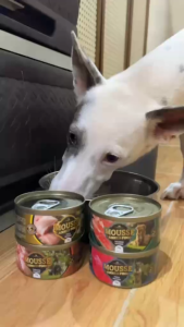 Supremacy Mousse Canned Food Chicken 85g Premium Wet Food Topper for Cats & Dogs Low Sodium 0.3% Daily Nutrition Formula Made Supports Hydration Appetite Boost Digestive Comfort Skin & Coat Health Healthy Energy & Irresistible Taste for All Breeds