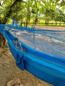 Happy Campers Duyan With Mosquito Net/ Camping Furniture