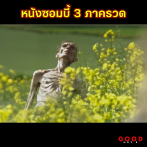 หนัง USB หนังซอมบี้ ไวรัสโรคระบาด คมชัด พากษ์ไทย