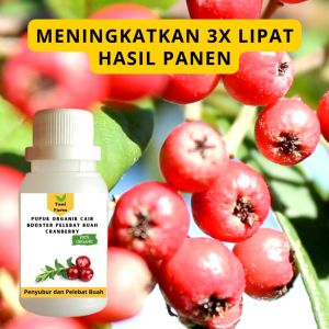 Pupuk Cranberry Cepat Berbuah / Pupuk Pelebat Buah Cranberry / Pupuk Booster Cranberry Cair