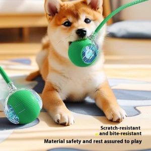 Zuoguan đồ chơi cho chó cưng Tự Động Con Chó Đi Bộ Bóng chó con Tự-Hi Giảm Nghẹt Cắn Kháng Điện Chó Thông Minh Vui bóng nhảy Tạo Tác