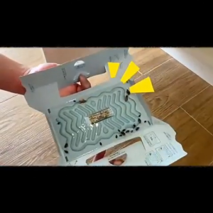✨100G✨ Cockroach killer for hom cockroach bait Roach Trap Non-Toxic Safe for Kids Pets
