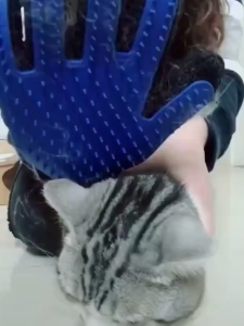 Pet Grooming Glove Deshedding Brush for Pets Silicone Fur Remover Dog Bath Massage Comb Pet Hair Removal Tool