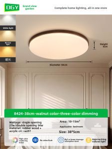 DGY | Circular Thin New Chinese Style Zen Style Ceiling Light