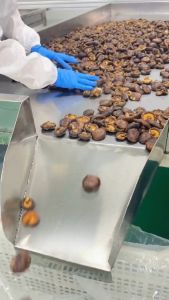 Nấm Hương Sấy Giòn Nấm Sấy Giòn Rụm Thơm Ngon Theo Phương Pháp Hiện Đại Giữ Nguyên Hương Vị Nấm