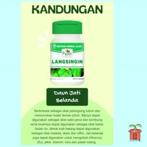 Kapsul Pelangsing Langsingin Daun Jati Belanda Ketepeng Cina Kemuning Temu Rapet Rimpang Teh Hijau