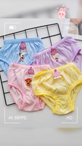 6PCS Celana Dalam / CD Anak Perempuan Motif/Karakter