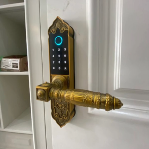 Khóa cửa tân cổ điển Demax EL280 GB app wifi chính hãng công nghệ Đức sang trọng cao cấp