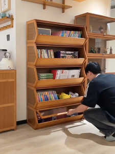 【Lifetime Warranty】DIY Storage Organizer Box Display Cabinet Large-capacity Dustproof Thickened