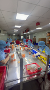 Bánh Tráng Sấy Giòn Rụm Đậm Vị HAQ FOOD - Đồ Ăn Vặt Siêu Ngon Chuẩn Vị Tây Ninh