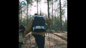 Mega Mall Lightweight Telescopic Anti-Shock Aluminum Folding Walking Stick for Hiking Camping