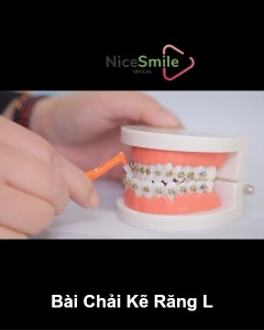 Hộp 20 Cây - Bàn Chải Kẽ Răng Chữ L Bàn Chải Kẽ Chỉnh Nha Bàn Chải Làm Sạch Kẻ Răng