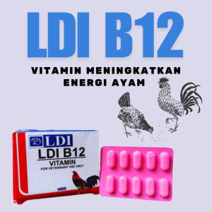 vitamin ayam LDI B-12 ( 1 STRIP ) - Vitamin Ayam Phillipines Suplemen Ayam B12