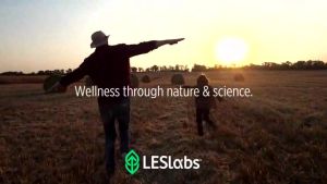 ปรับสมดุลสุขภาพชาย 60 เม็ด LES Labs Male Health Enhance Hormone Production Drive & Endurance Ginseng Maca & Boron Non-GMO Supplement (EXP.4/2025)