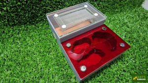 Ant Nest Starter Kit + Ant Colony Type 10 (3D Printed)