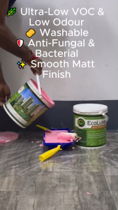 ECOLUXE Interior Wall Paint 8L Value Pack 2x4L | Low VOC Low Odour Washable Matt Wall Paint | HDB Home Singapore