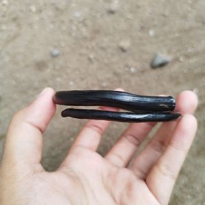 Gelang Akar Bahar Hitam Natural Kantoran