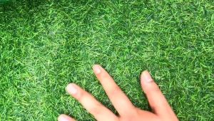 30MM/25MM Premium Artificial Grass Carpet Bermuda Fake Grass Lawn Outdoor Garden Floor Mat Decor