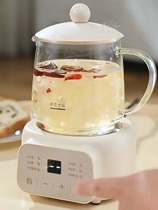 【FREE FILTER】500ML Health Pot Electric Kettle 6 Preset Programs Borosilicate Glass Herbal Tea Sweet Soup Cooker 24h Reservation Teakettle 400W