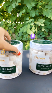 Kue Kering Putri Salju Premium filling kacang mede original by Giwon Bakehouse Cookies