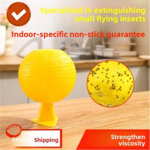 MONLEYTA | Indoor Kitchen Bug Trap Fly Attractant Killer Small Flying Insects Removal Sticky Ball Fly Catcher MONLEYTA Brand