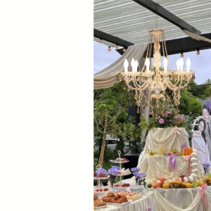 MOYE | Outdoor Waterproof French Luxury European Crystal Iron Art Chandelier