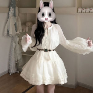 CHANGTONG | French Style Elegant Puff Skirt Dress Long Sleeve