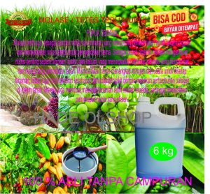 MOLASE 6 KG TETES TEBU ASLI TANPA CAMPURAN