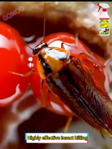 500ml Odorless Insecticide Spray Insect Killer Can Kill Cockroach Mosquito Flea Ants Flies Mites