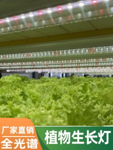 LED Full Spectrum Plant Growth Supplement Light Indoor Florals Green Plant Succulent Leaf Vegetable Fill Light Imitation Sunlight