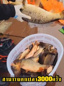 กัดเบ็ดใน 1 วินาท Gelute เหยื่อตกปลา 3 แพ็ค ตกปลา1500ครั้ง(หัวเชื้อตกปลานิล เหยื่อตกปลานิล อาหารตกปลา เหยื่อปลานิล หัวเชื้อปลานิล หัวเชื้อล่อปลา หัวเชื้อตกปลา ฟีโรโมนตกปลา หัวเชื้อตกปลาสวาย หัวเชื้อไส้เดือน เหยื่อตกปลาชิงหลิว เหยื่อชิงหลิว fishing bait) - Lazada