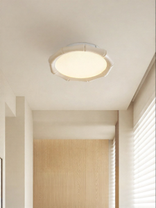 FANCY LAMP CLUB | Modern Minimalist Balcony Cloakroom Ceiling Light