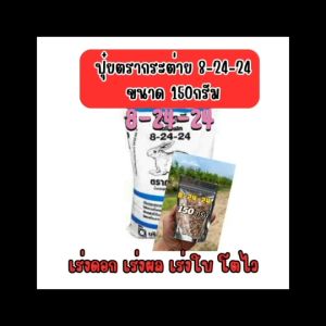 ปุ๋ย ตรากระต่ายของแท้  8-24-24  ขนาด 150 กรัม  แบ่งขาย เร่งดอก เร่งผล เร่งใบ ให้แข็งแรง โตไว