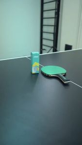 SVRG Table Tennis Ball - Bola Tenis Meja Pingpong - Bola Pingpong Bintang 3
