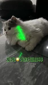 C LED Laser Cat Teaser Stick Ultra Long Cat Stick Toys Interactive Pet Boredom Relief Toys For Cats Cat Wand Toy Pet Supplies