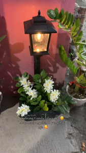 Naturuxa Solar Lamp Post Light With Flowerpot -Monocrystalline Panel (50% Higher Efficiency)12H+ Continuous Lighting IP65 Waterproof 3000K Warm White Non-Mosquito Attracting Tempered GlassGardenPathPatioDeckPorchPoolSunsetGlow