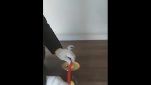 ( 1pair ) Hand Cymbal Percussion For Kid Learning ( 15cm / 24cm )