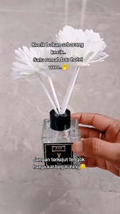 (Shipping from Malaysia)Aromatherapy Reed Diffuser Air Freshener 50ml Aromatherapy Essential Oil Perfume Air Freshener Flameless Water Soluble Healthy