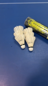 [AS-Lion] Badminton Shuttlecock (6 pcs Feather Shuttlecock) (SG Seller)